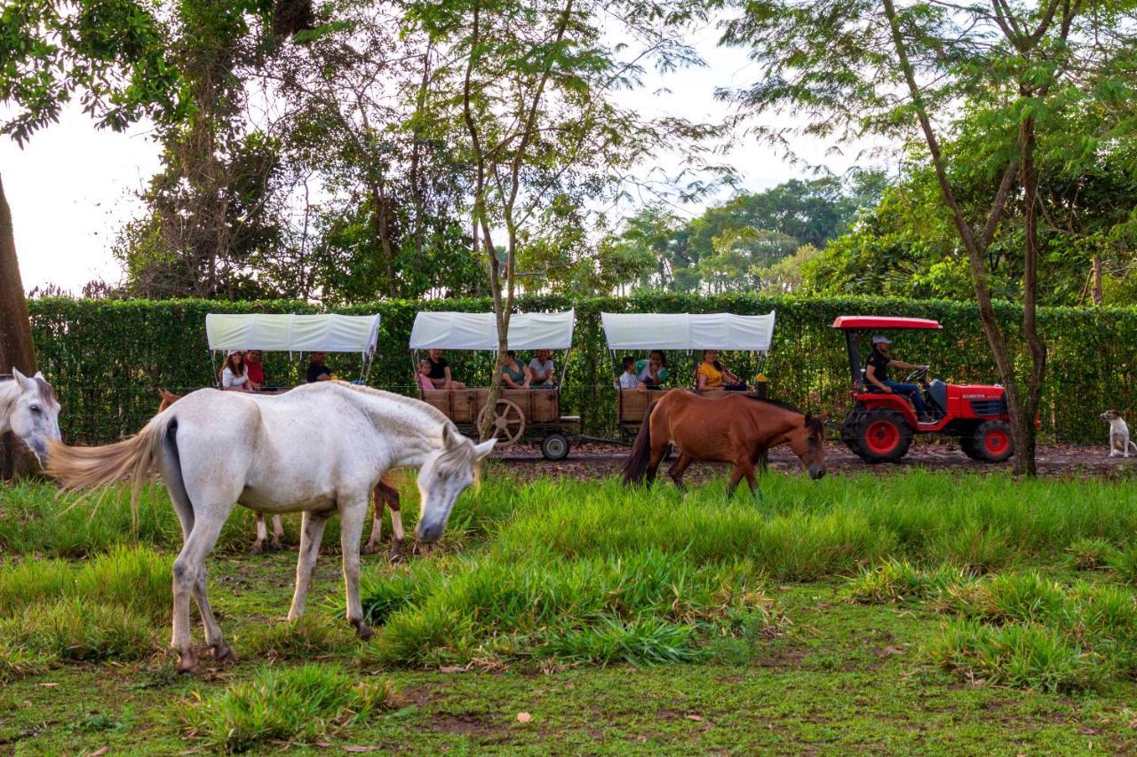 Hotel Campestre La Potra Apiay Exteriér fotografie